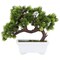 Artificial Fake Bonsai Tree for Office Desk, Potted Japanese Pine for Bookshelf Decoration, Home Decor (10 x 9 In)